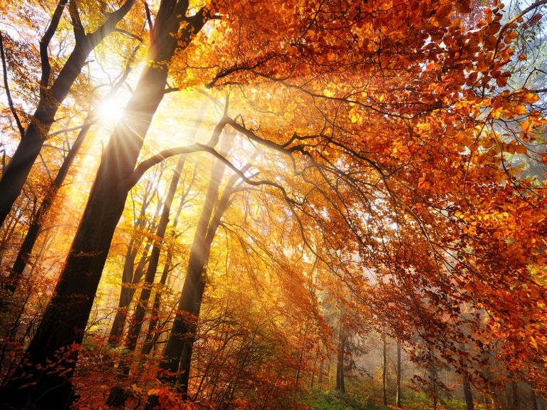 Goldene Oktober gab es schon immer Goldene Oktober gab es schon immer
