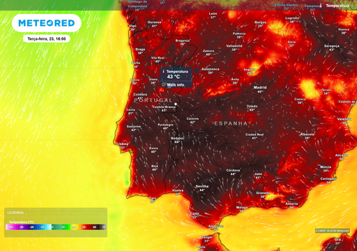 "J&aacute; come&ccedil;ou a sucess&atilde;o de fen&oacute;menos que poder&aacute; trazer 43 &ordm;C a Portugal", avisa Marta Godinho