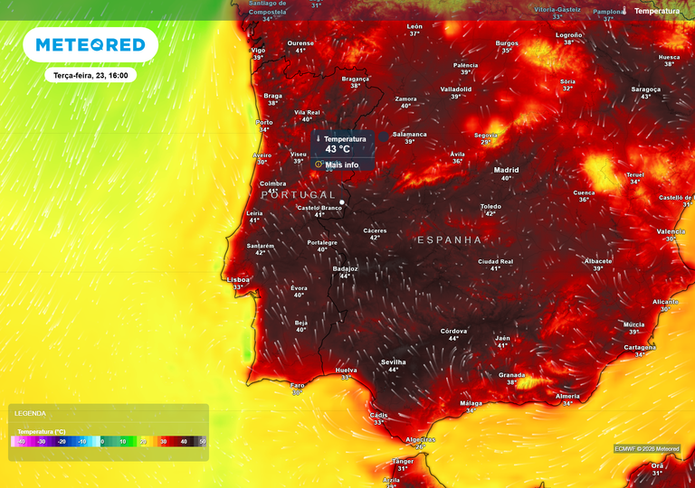 "J&aacute; come&ccedil;ou a sucess&atilde;o de fen&oacute;menos que poder&aacute; trazer 43 &ordm;C a Portugal", avisa Marta Godinho