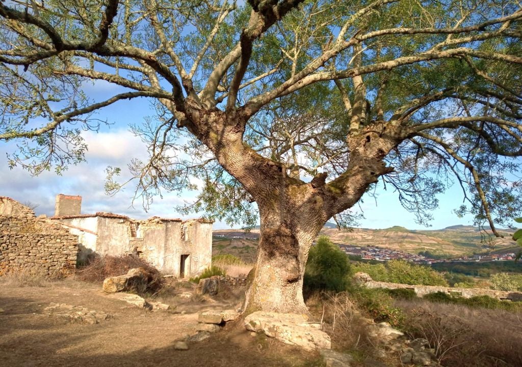 Aldeia de Broas Aldeia de Broas