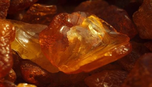 J&aacute; existia antes dos dinossauros: o &acirc;mbar mais antigo conhecido (385 milh&otilde;es de anos) foi descoberto na China