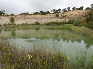Já ouviu falar de turfeiras e sabe a sua importância? Alpiarça mostra à Europa como restaurar estes preciosos habitats