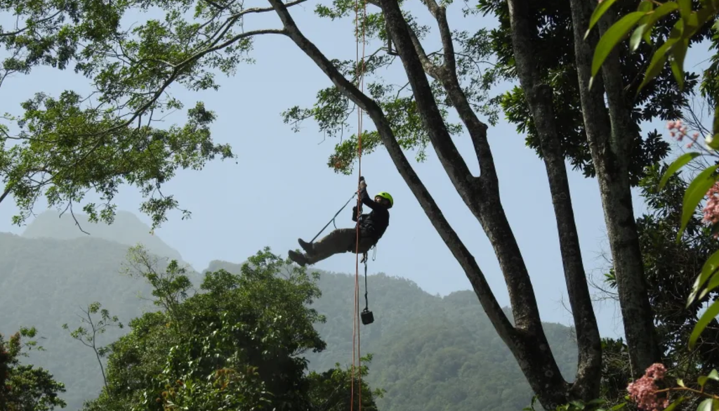 Las cámaras trampa se activan ante cualquier movimiento y sin la necesidad de la presencia humana. Foto: Panthera.Org