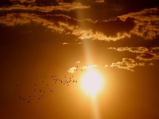 Jahrhunderthitze bringt bis zu 40 Grad!