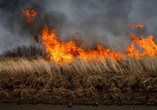 Jahrhundertsommer bringt 50-Grad-Hitze!