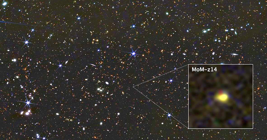 El telescopio espacial James Webb de la NASA muestra la galaxia MoM-z14 tal como era en el pasado distante, sólo 280 millones de años después de que el universo comenzara en el Big Bang. Imagen: NASA, ESA, CSA, STScI, Rohan Naidu (MIT); Procesamiento de imágenes: Joseph DePasquale (STScI)