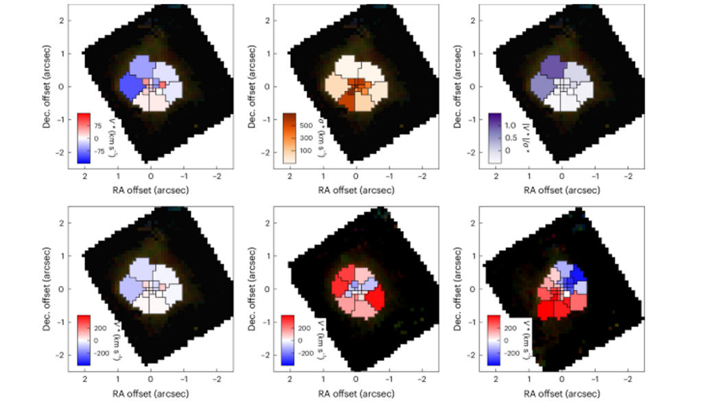 Die Bewegungsanalyse stellt die Bewegungen in kachelartigen Bereichen (Voronoi-Zellen) dar. Bild: Forrest et al., 2026