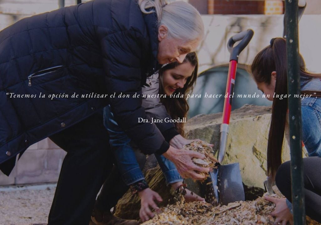 Jane Goodall pensamiento Jane Goodall pensamiento