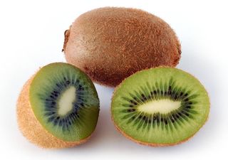 Janeiro dá-nos o seu melhor: a cultura do kiwi