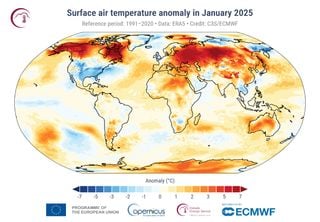 Incluso con La Niña, enero de 2025 fue el más cálido jamás registrado, confirma el Observatorio Copernicus