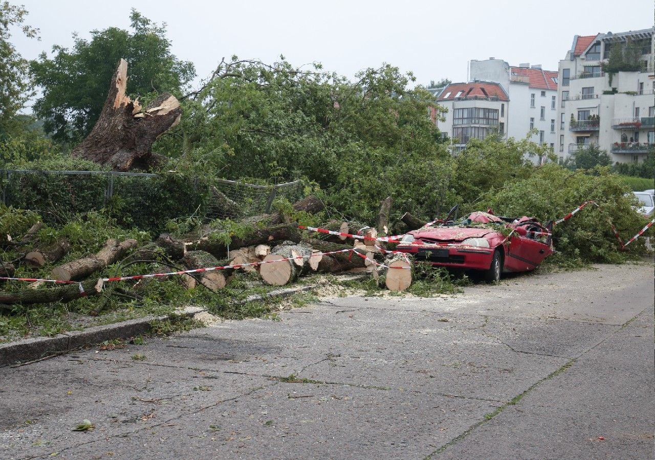 O mês de janeiro, além de ter sido um mês muito chuvoso, caracterizou-se pela passagem do temporal Kristin, que provocou vento extremamente forte com impactos destrutivos no terreno e nas populações.