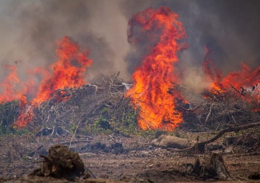 Janeiro de 2026 registra o dobro da m&eacute;dia hist&oacute;rica de focos de inc&ecirc;ndio em todo o Brasil, segundo INPE