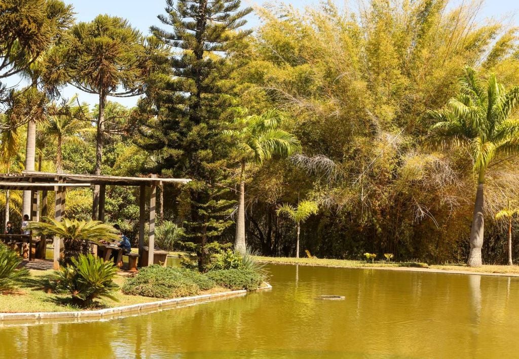 O Jardim Botânico de Brasília preserva o melhor da flora do Cerrado. Crédito: Divulgação.
