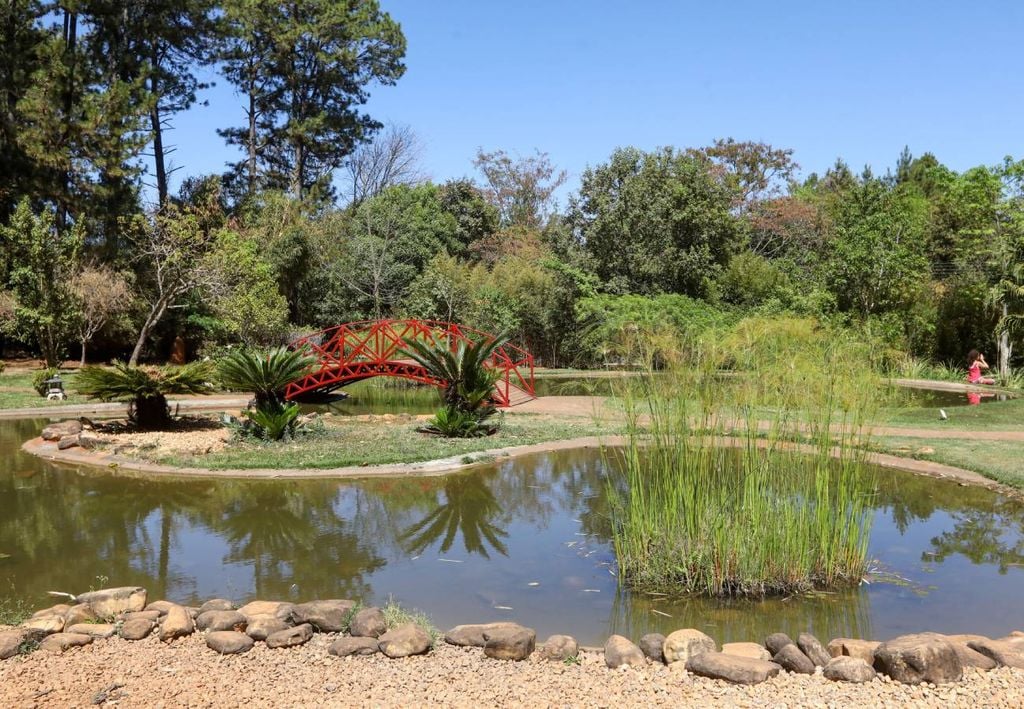 O Jardim Botânico de Brasília foi inaugurado em 8 de março de 1985. Crédito: Divulgação.
