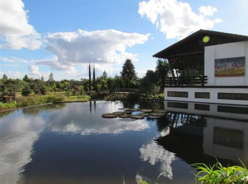 O Jardim Evolutivo, no JBB. Crédito: Site oficial do Jardim Botânico de Brasília.