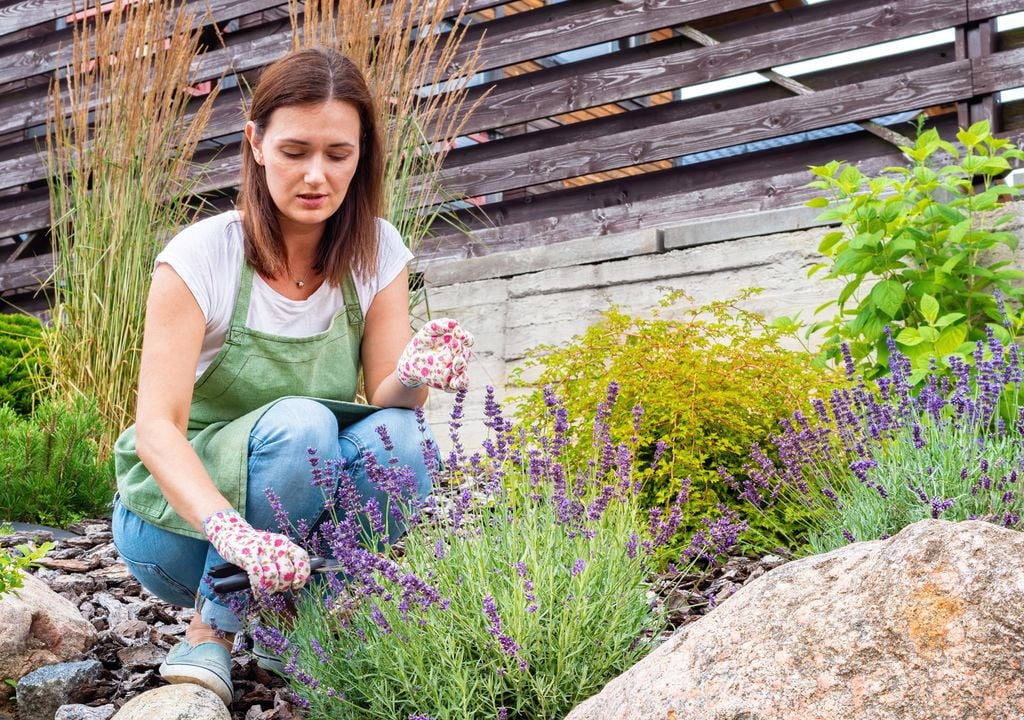 La rocalla mediterránea es muy versátil. Sirve para jardines grandes pero también para patios, taludes o terrazas amplias.