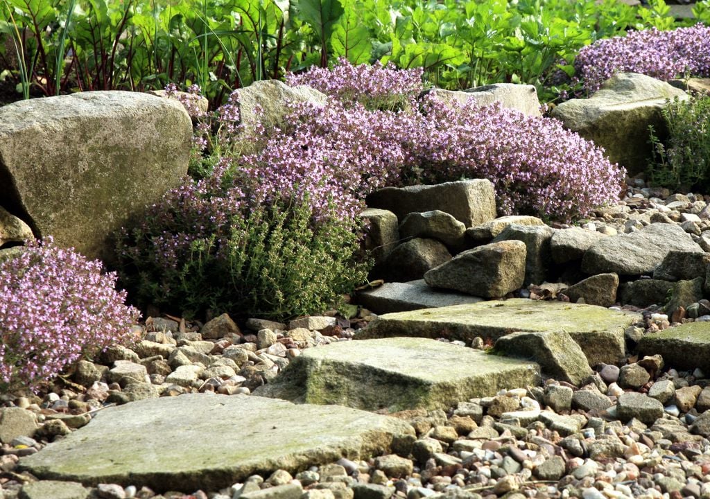 Uso de piedras grandes en la composición de un jardín de rocalla.
