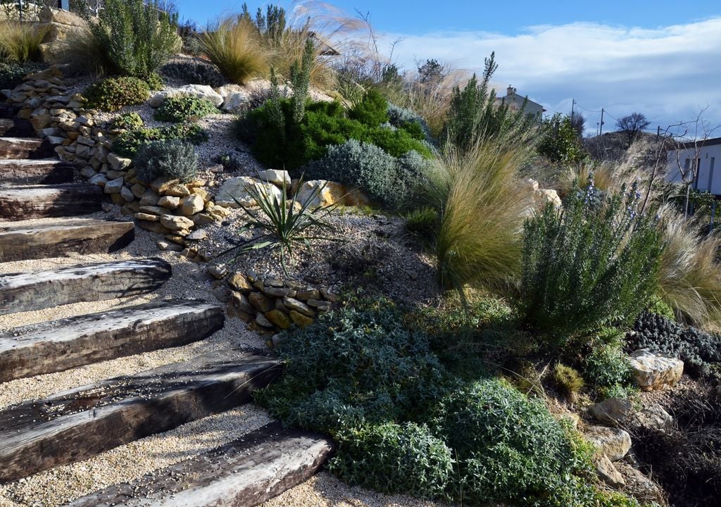 Elegir plantas autóctonas es una garantía de éxito para tu rocalla.