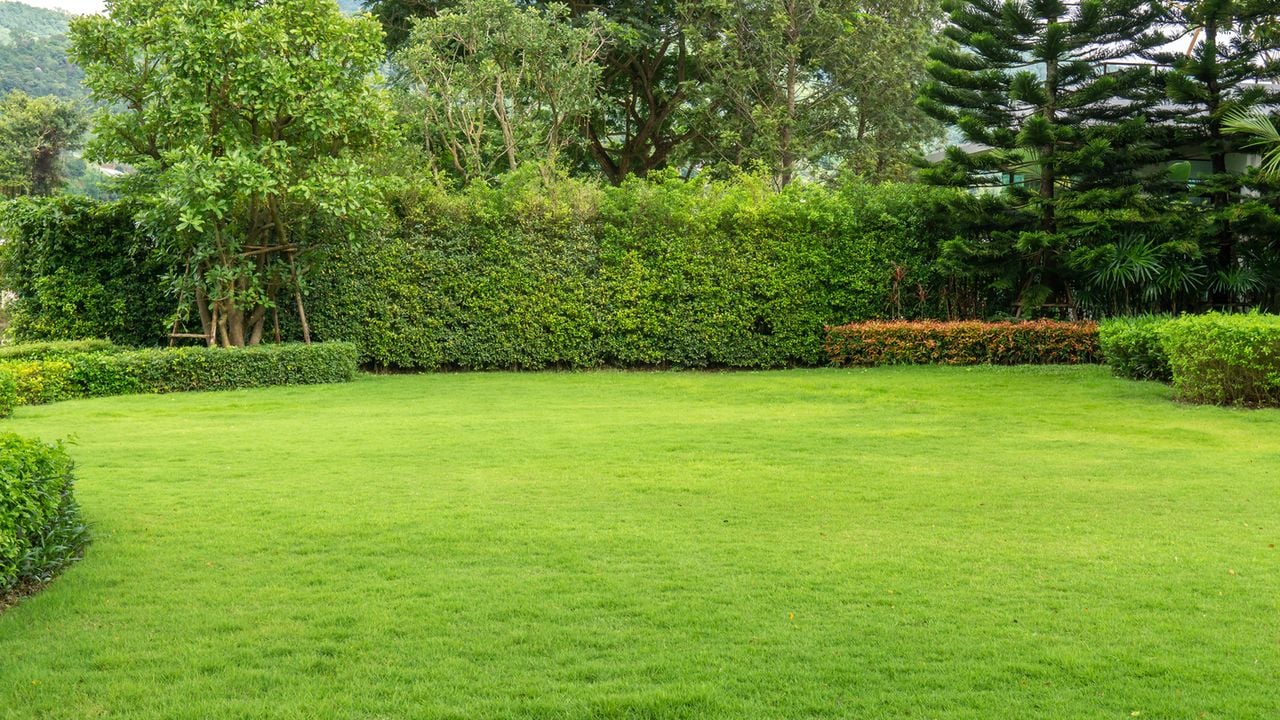 Les jardiniers sont avertis que tondre leur pelouse trop tard en automne pourrait l’endommager pendant plusieurs mois.