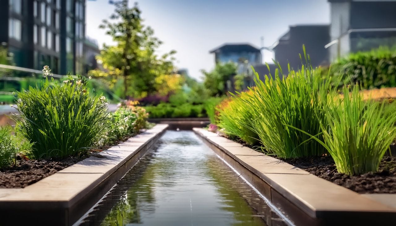I giardini pluviali riducono il rischio di allagamenti urbani e alleggeriscono la pressione sul sistema fognario.
