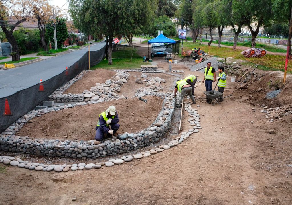 jardin de lluvia jardin de lluvia