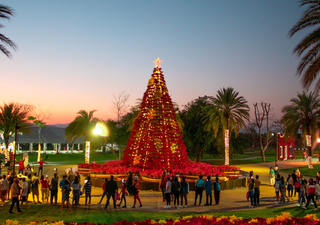 Jardines de México: la magia de la navidad en el jardín floral iluminado más grande del mundo