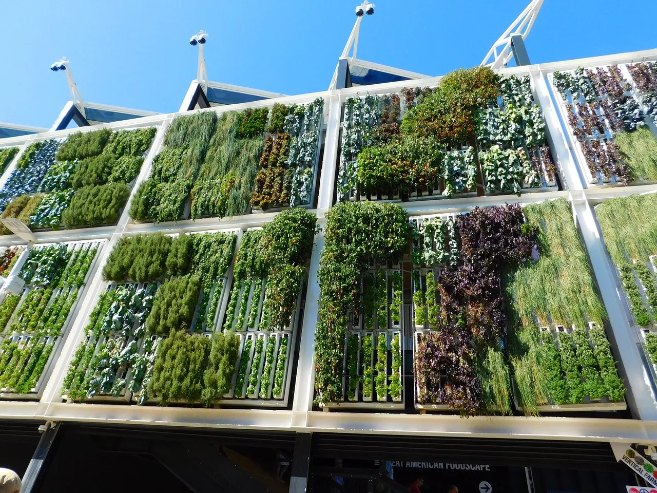 Jardines verticales, una solución de adaptación al cambio climático