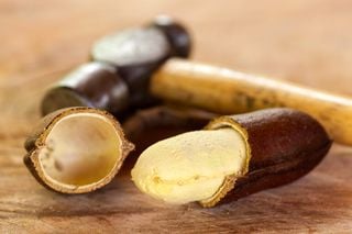 Jatobá: veja os benefícios surpreendentes dessa árvore do Cerrado para saúde, sustentabilidade e economia