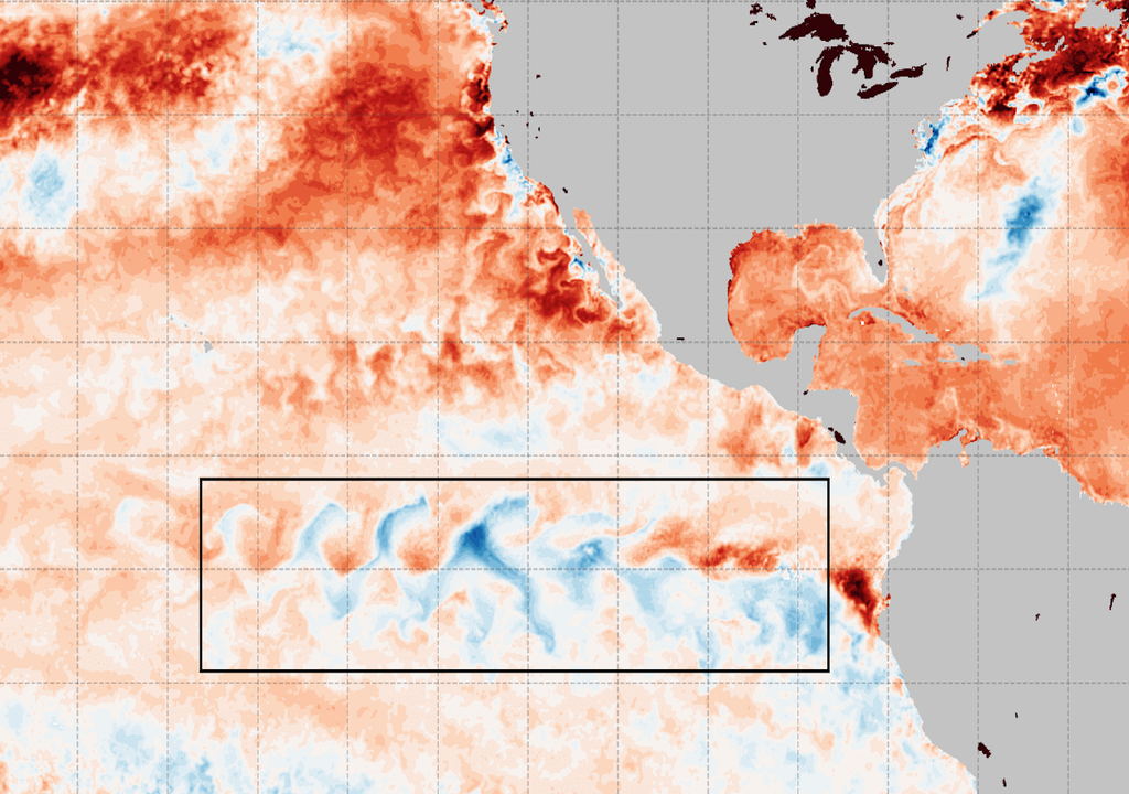 Aktuelle Wassertemperaturanomalie