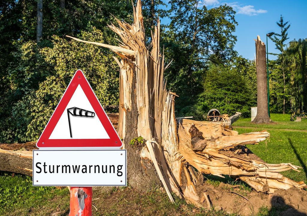 Natur, Wind Natur, Wind