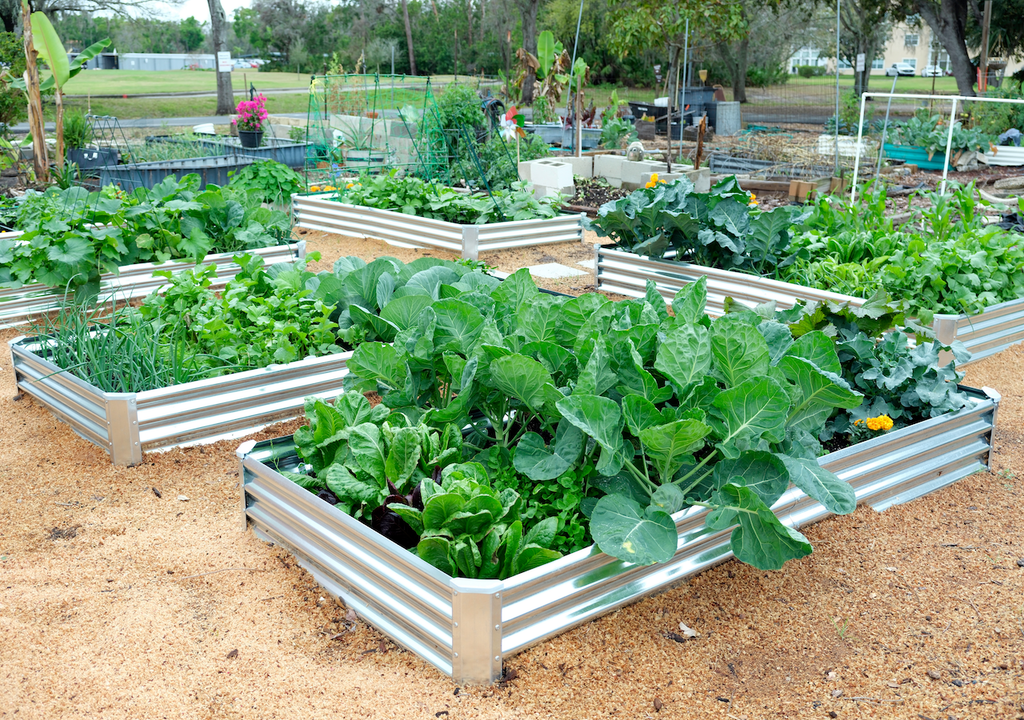 Garten, Mischkultur, Böden, Nährstoffe Garten, Mischkultur, Böden, Nährstoffe