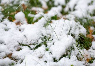 Jetzt auch noch Schneefall - der Winter gibt nicht auf!