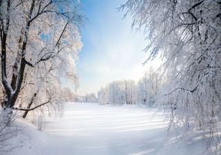 &bdquo;Jetzt ist es raus": So hoch ist die Eiswinter-Chance 2026/2027 &ndash; Super-El-Ni&ntilde;o mischt Deutschland neu