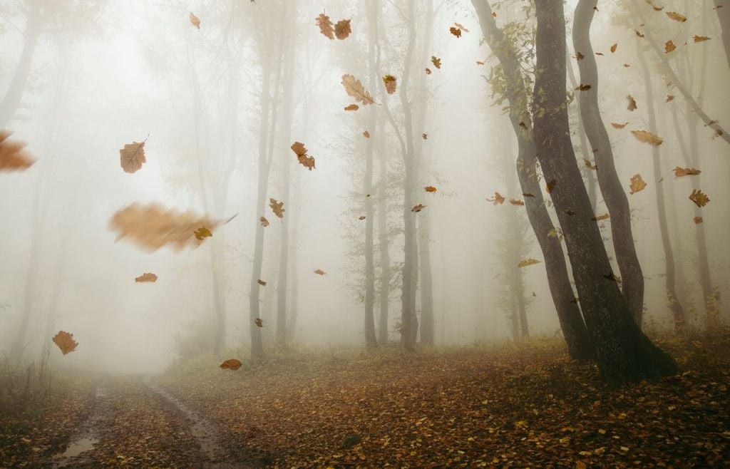 Nebel Inversion grau kalt Mit diesem Anblick werden wir uns in den nächsten Tagen in einigen Teilen des Landes abfinden müssen. Der Nebel ist nun mal besonders bei einer Inversionswetterlage im Herbst ein nicht wegzudenkender Begleiter