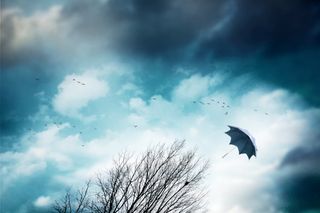 Jetzt wird's wild! Nächste Woche erst 20 Grad, dann Sturm