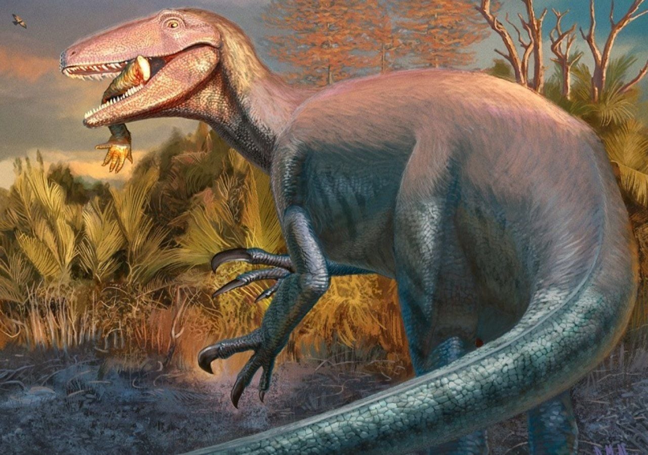 Joaquinrapor Dinosaur: Bone Found in Patagonian Fossil