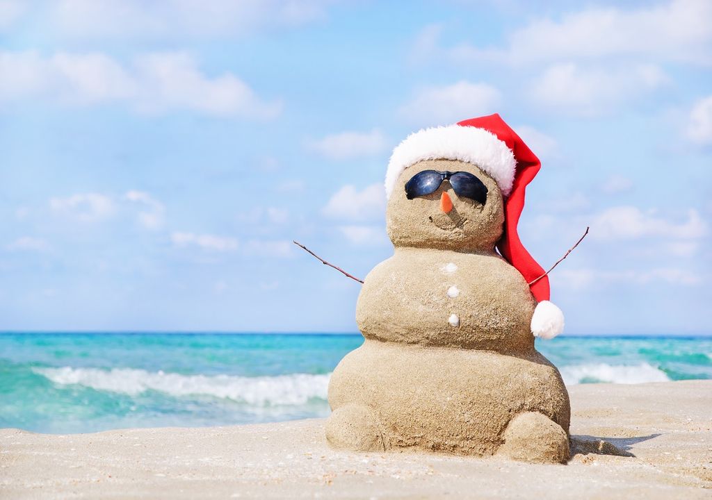 Mono arena con gafas y gorro de navidad en la playa