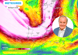 José Antonio Maldonado advierte: 