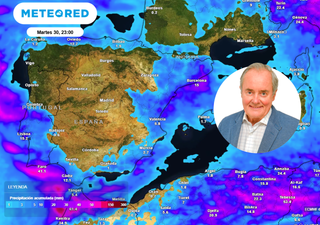 José Antonio Maldonado: 