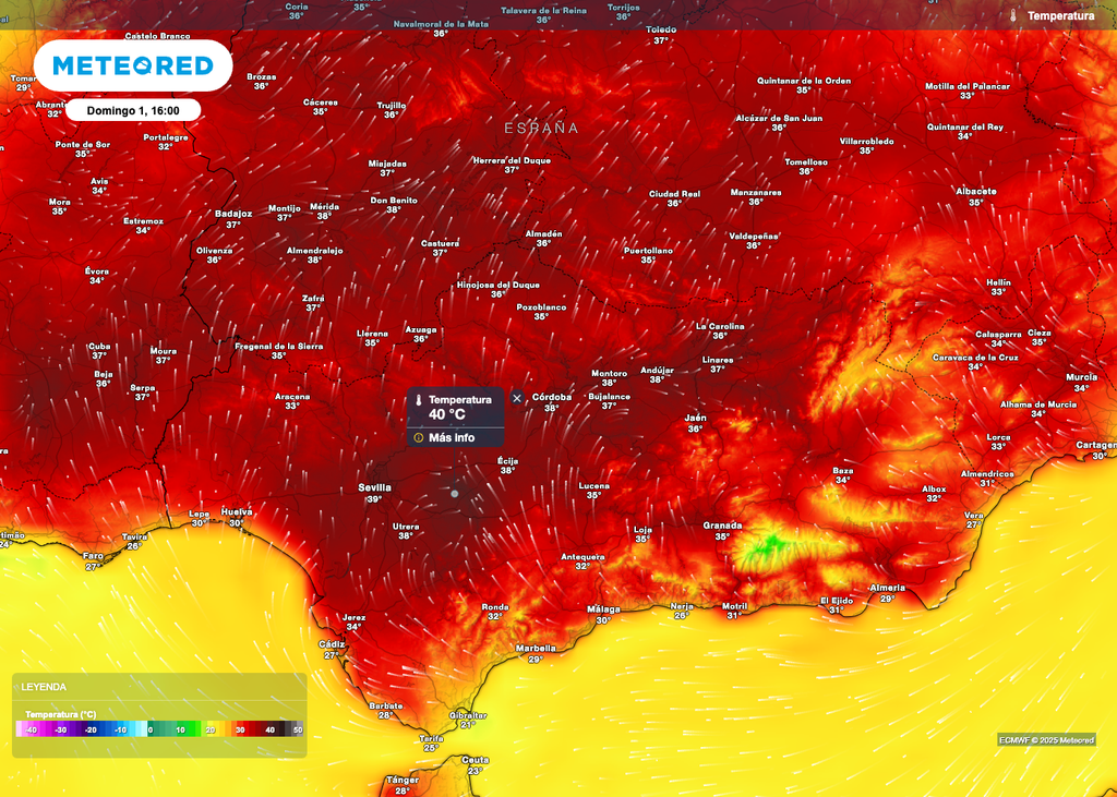40 ºC en Sevilla 40 ºC en Sevilla