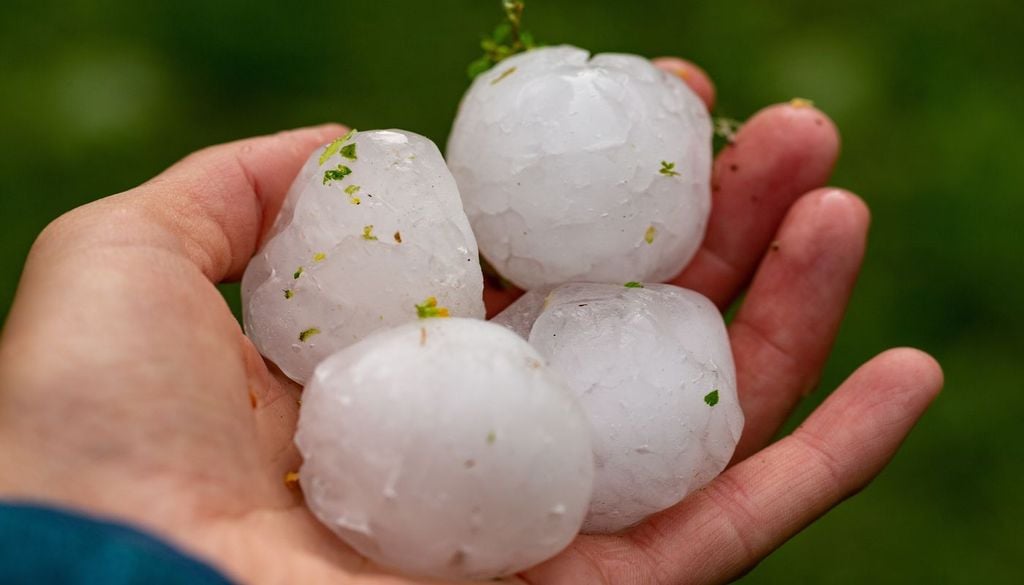 Bolas de granizo Las granizadas dejan a veces piedras de hielo de gran tamaño. Se empieza a constatar una mayor frecuencia de tormentas que dejan granizos gigantes.