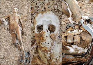 Jóvenes chilenos encuentran cuerpo del montañista Vincenzo Chiaranda, perdido hace más de 60 años en el Mercedario