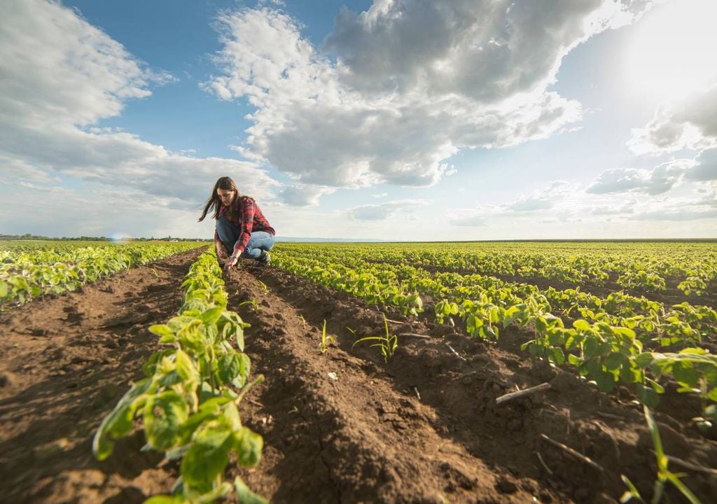 “Os agricultores são sempre o elo mais fraco da cadeia, são sempre os mais prejudicados no preço que recebem por tudo o que produzem” e a grande distribuição, acusa a AJAP.