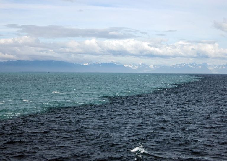 ¿Por qué no se mezclan nada más entrar en contacto? Una de las razones: la diferencia de salinidad. El agua de color oscuro es la del mar, la salada; y la de color claro la del glaciar, la dulce. Fuente: Kennet W. Bruland. ¿Por qué no se mezclan nada más entrar en contacto? Una de las razones: la diferencia de salinidad. El agua de color oscuro es la del mar, la salada; y la de color claro la del glaciar, la dulce. Fuente: Kennet W. Bruland.