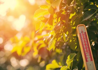 Juillet 2024 : mois le plus chaud que la Terre ait jamais connu ! 