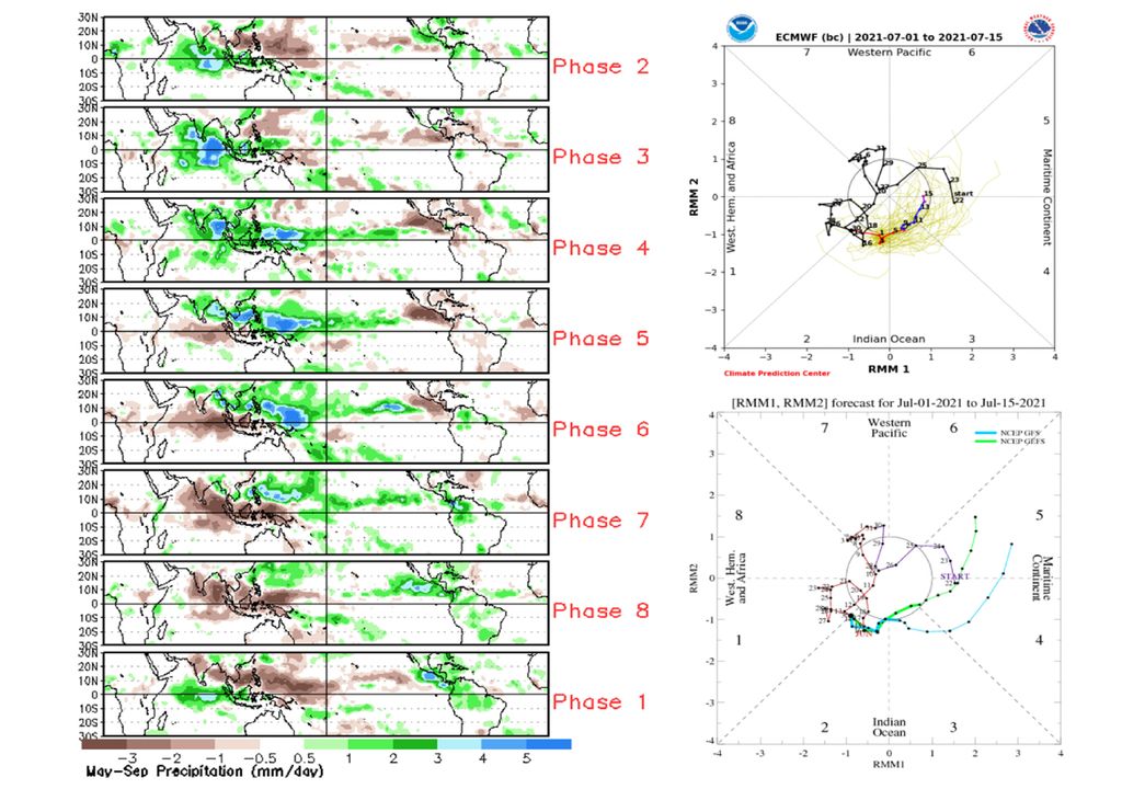 Madden-Julian (MJO)