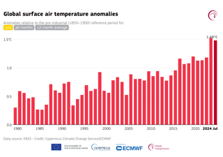 Julho de 2024 foi o segundo mês mais quente da história do planeta, afirma Copernicus