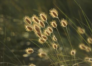 Julho frio a contrastar com o início de agosto