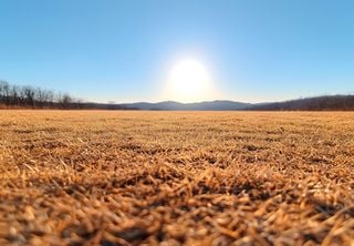 Julho pode ser o mês mais seco e frio do inverno: Centro Europeu traz anomalias intensas de temperatura e precipitação