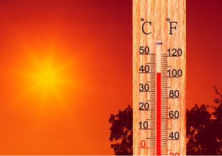 Julio 2024 fue el segundo julio más cálido de la historia a nivel global, de acuerdo al Programa Europeo Copernicus